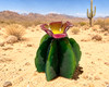 Handcrafted Metal Art Barrel Cactus