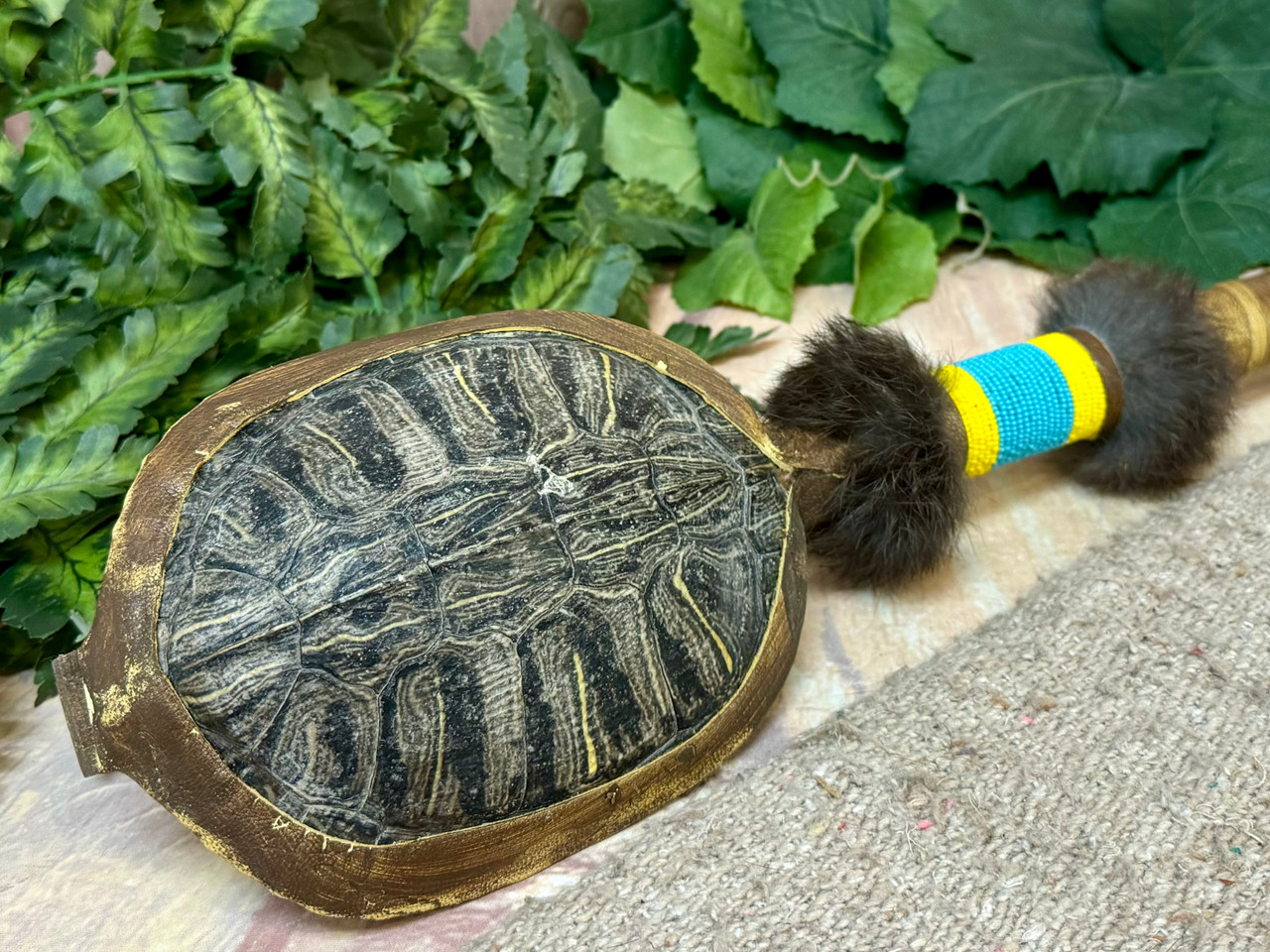 Southwestern Turtle Shell Rattle 18