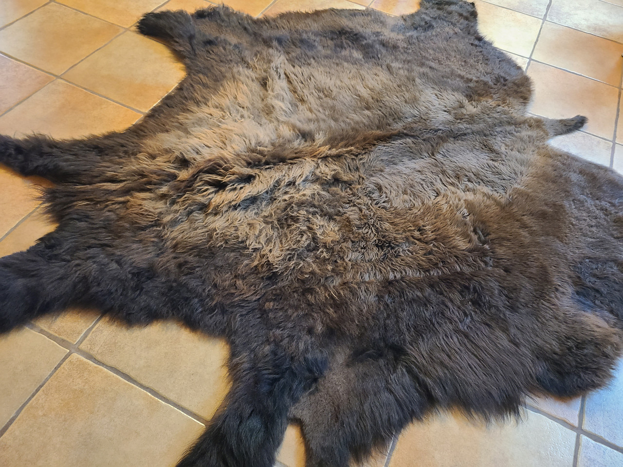 Genuine Buffalo Hide Tapestry Rug 8' (1bufhide)