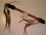 The Native American Talking Stick Within Indian Tribes.
