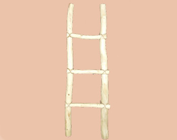 Tarahumara southwestern wooden log ladder. 4'