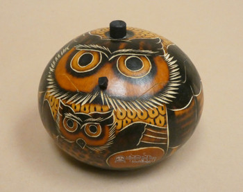 Hand Etched Gourd Box Owl