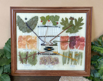 Natural Dyes Crafted From Plants
