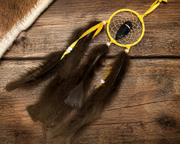 Native American dreamcatcher