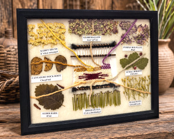 Navajo Indian Natural Dye Chart