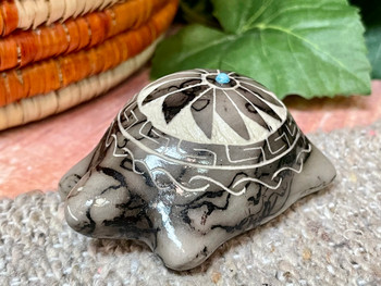 Navajo Etched Horsehair Pottery Miniature Turtle