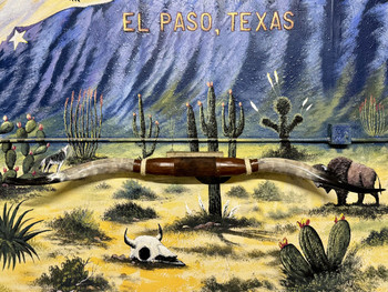 Genuine Long Horn Wall Mount