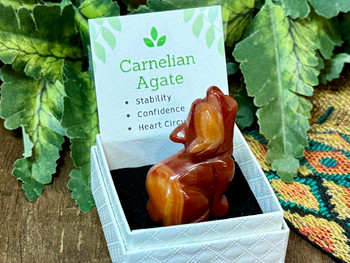 Carnelian Agate Crystal Wolf