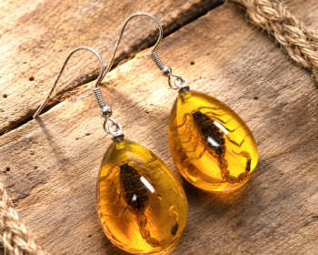 Real Nature Scorpion Earrings
