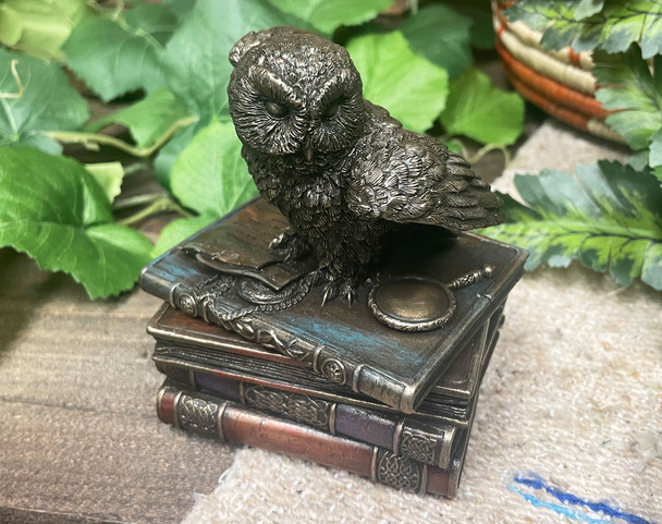 Rustic Bronze Statue -Snow Owl On Books