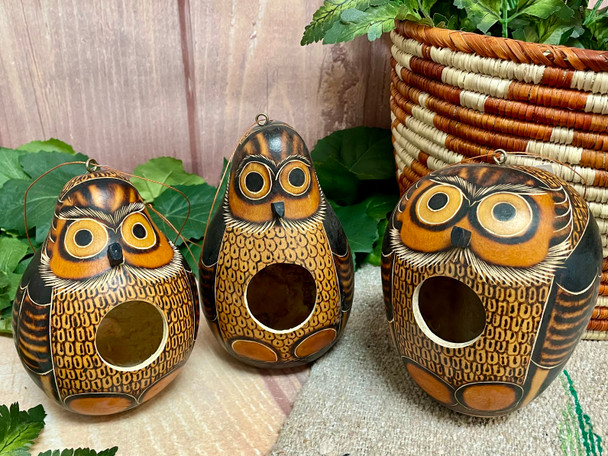 Assorted Etched Gourd Bird House