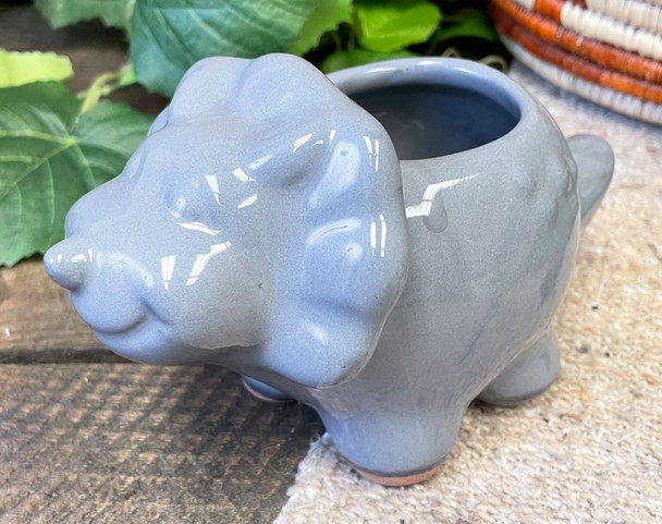 Mexican Ceramic Triceratops -Grey