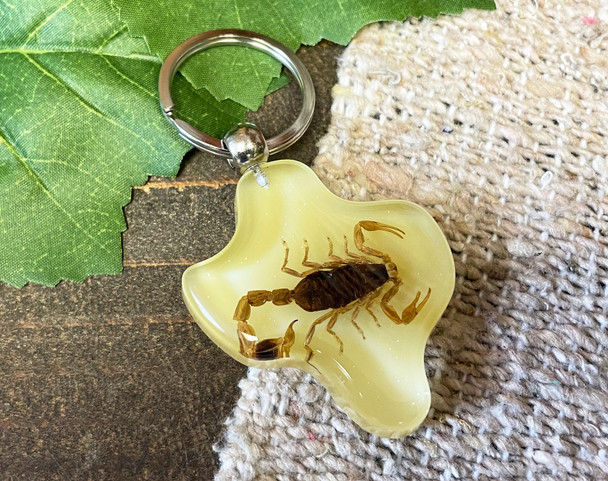 Texas Souvenir Scorpion Keychain