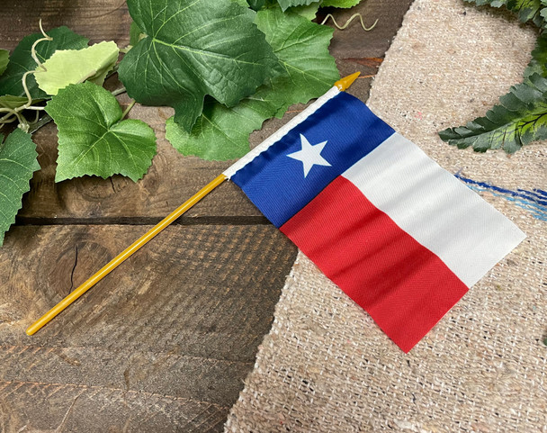 Texas Flag on a Stick