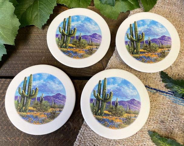 Sandstone Coaster Set -Desert Blooms