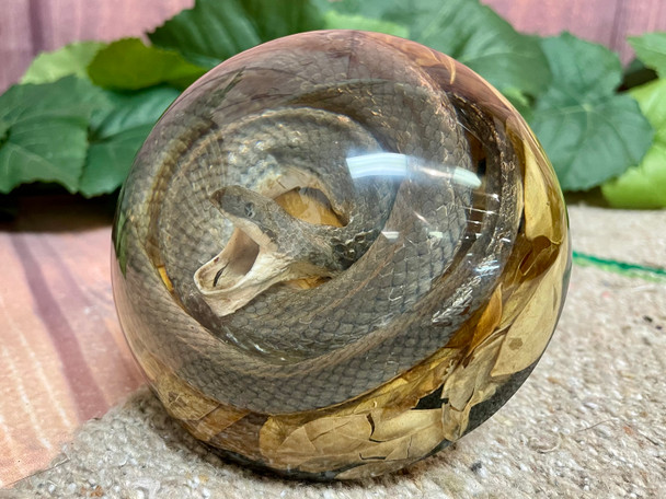 Dome Snake Paperweight -Large