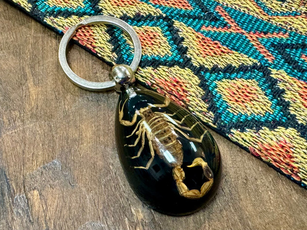 Souvenir Scorpion Keychain -Black