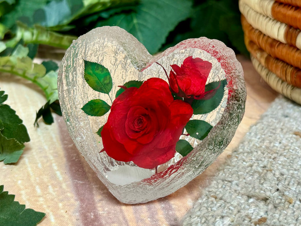 Real Red Rose Paperweight