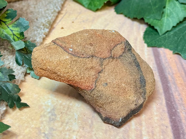 Natural Ohio Sandstone