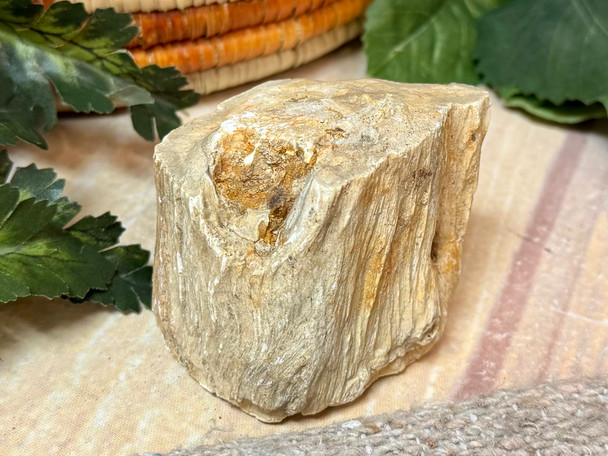 Petrified Wood Stones