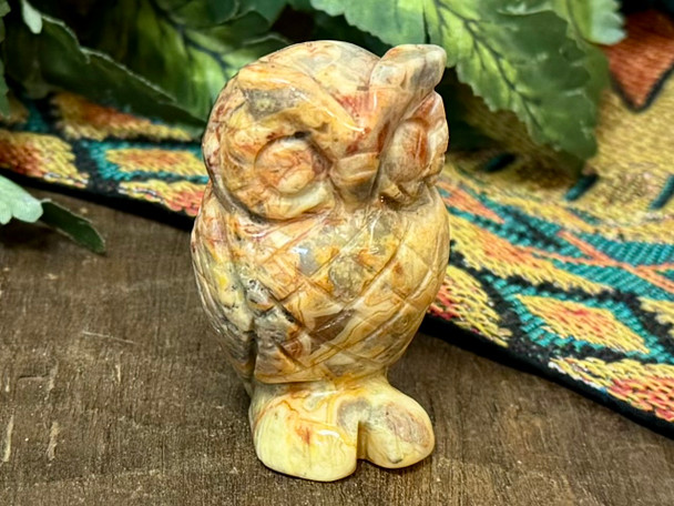 Crazy Lace Agate Owl