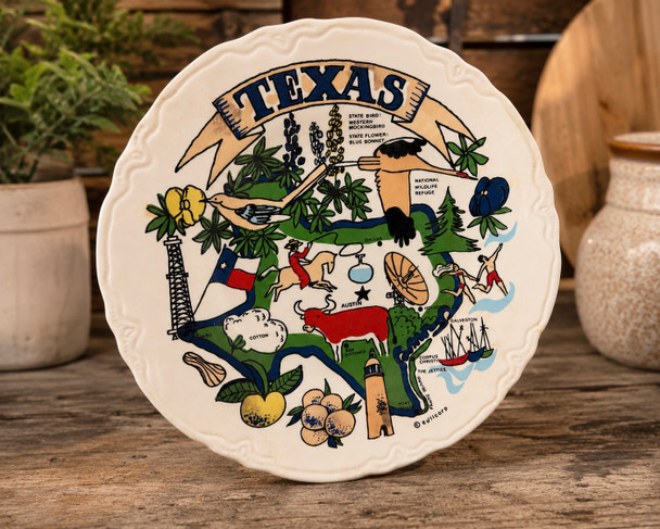 Texas Souvenir Map Plate