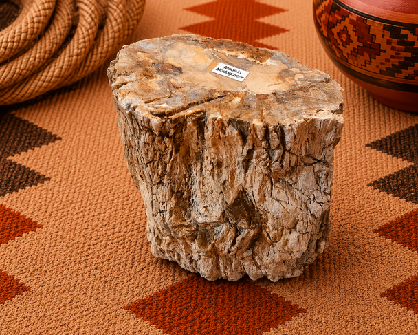 Petrified Wood Branch