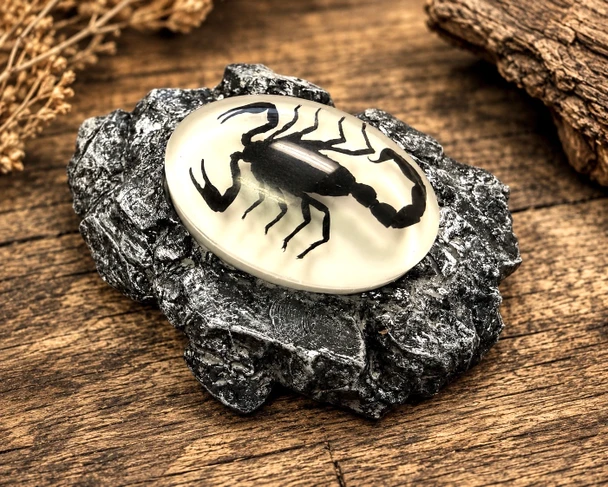 Scorpion Magnet