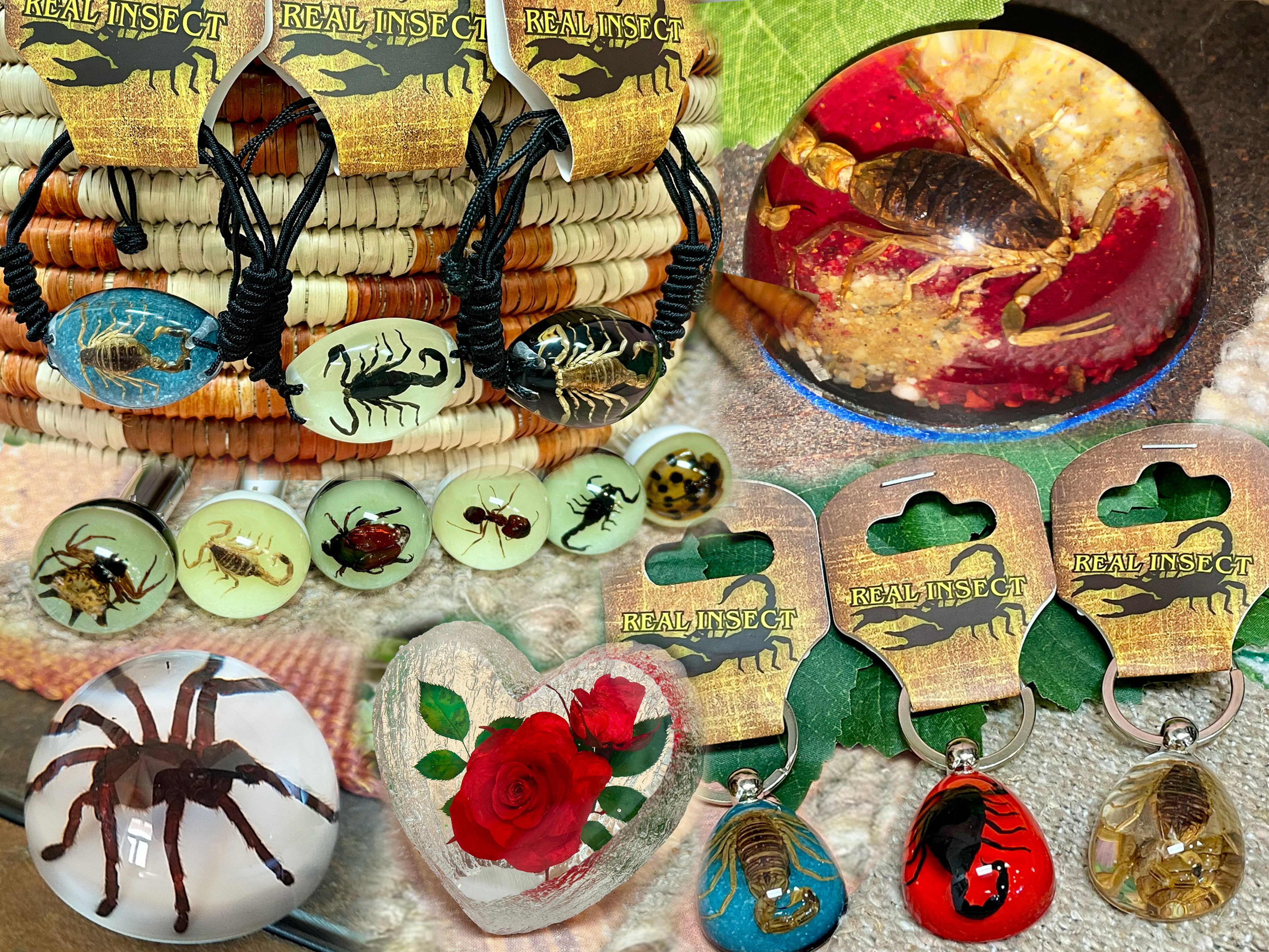 insect jewelry.jpg