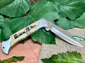 Stainless Steel Folding Knife