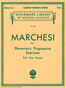 Schirmer Library of Classics Volume 384  Voice Technique