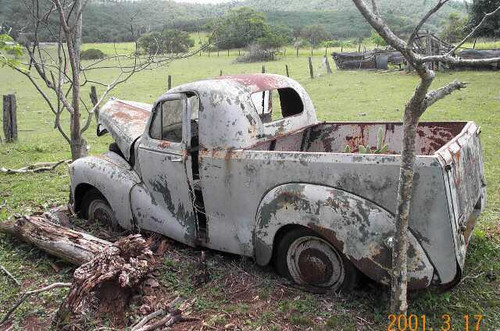Queensland ute .