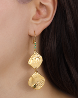 Double pirate pirate coin