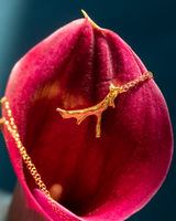 Fire of Red Coral  Necklace 18k gold vermeil