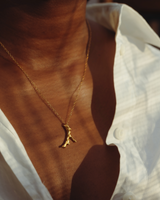 Fire of Red Coral  Necklace 18k gold vermeil