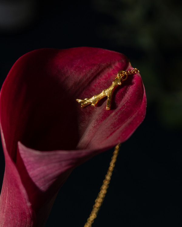 Fire of Red Coral  Necklace 18k gold vermeil