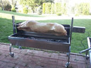 Stainless Steel Rotisserie for Pig, Lamb, and Goat