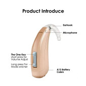 REXTON ARENA P controls