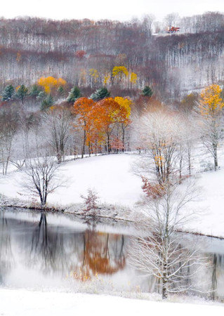 ​Surviving and Thriving: Holiday Tips for People with Hearing Aids