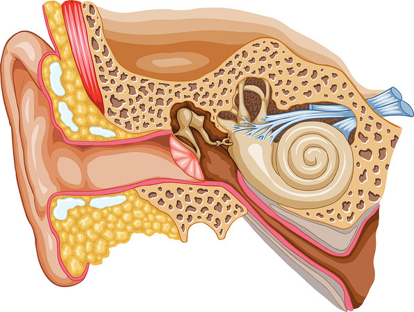 Hearing Loss Prevention: Tips for Protecting Your Ears