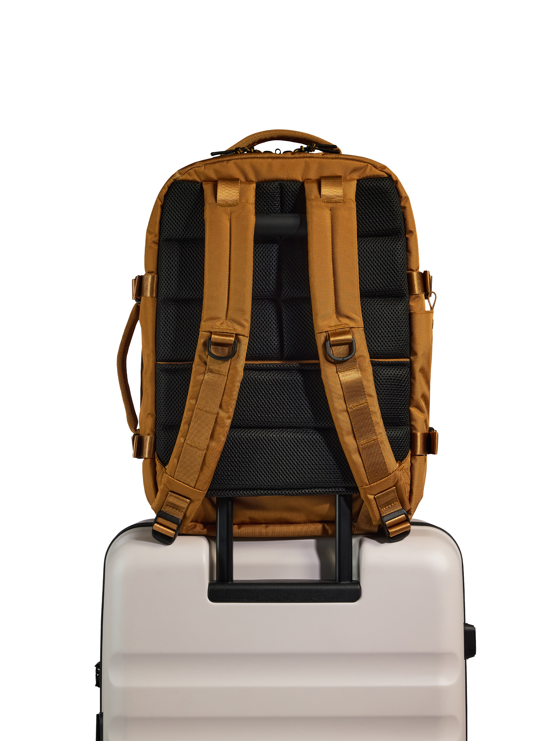 Antler Clay Discovery Bag Backpack - Back