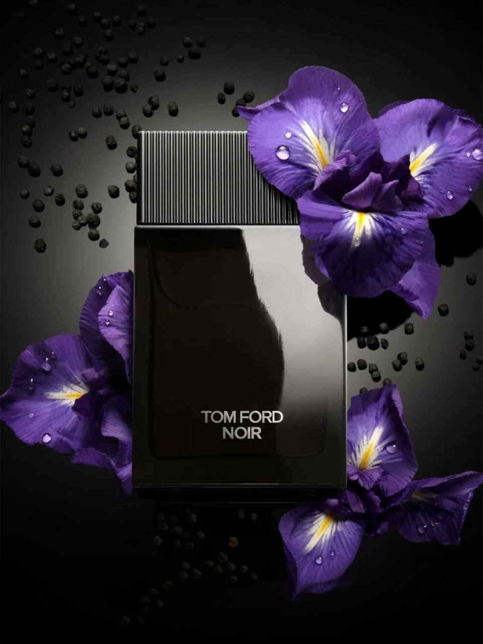 Tom Ford Noir Eau de Parfum 100ml