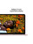 MacBook Neo 13-inch A18 Pro - 512GB with TouchID