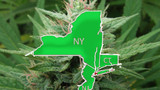 Northeast Tri-State Cannabis Legalization: New York, New Jersey, and Connecticut - 2021 Update