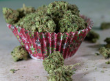 A Guide to Buying Exotic CBD Flower in Bulk