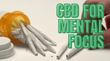 Best CBD for Mental Focus: A 2022 Guide