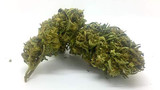 High Potency CBD-Rich Hemp Buds