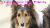 CBD Pet Products by Medterra