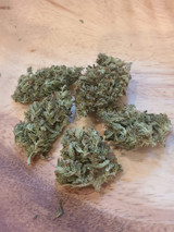 The Cloud 9 CBD Hemp Strain: For Beginners and Experts Alike