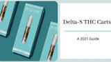 Delta-8 THC Carts a 2021 Guide